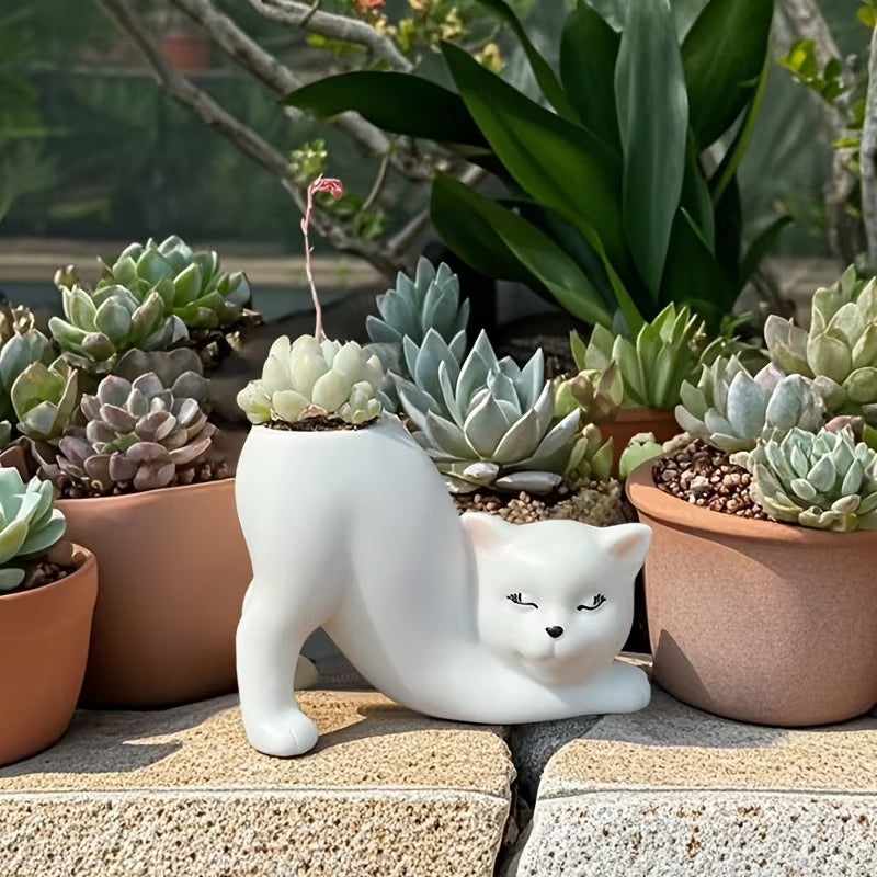 1pc of Bohemian Creative Design Cute Cat Flower Pot for Planting And Breeding, Lightweight And Multifunctional, Made of Shatterproof Synthetic Resin, Suitable for Indoor And Outdoor Use